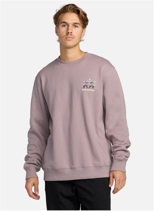 Billabong Sweats à capuche Split The Peak homme violet