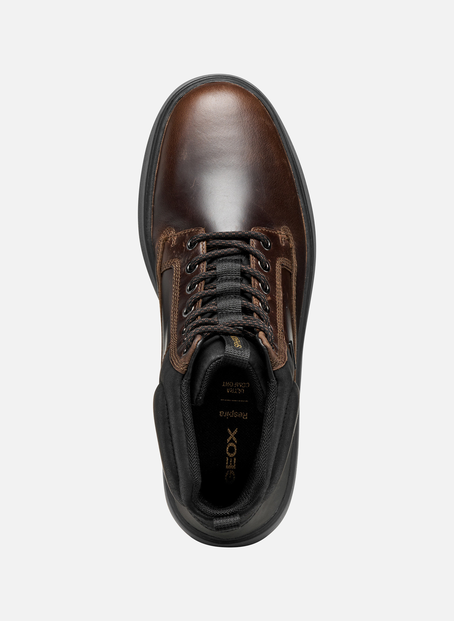 Bottines et boots SPHERICA ECUB-1.1 MAN homme marron Geox Bottines et boots SPHERICA ECUB-1.1 MAN homme marron Marron foncé