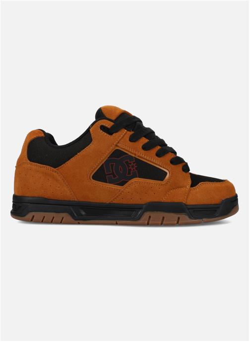 DC Shoes Baskets basses DC Coiler homme marron