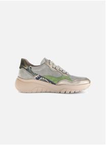 Baskets basses 73.451 femme vert Gabor Baskets basses 73.451 femme vert Vert