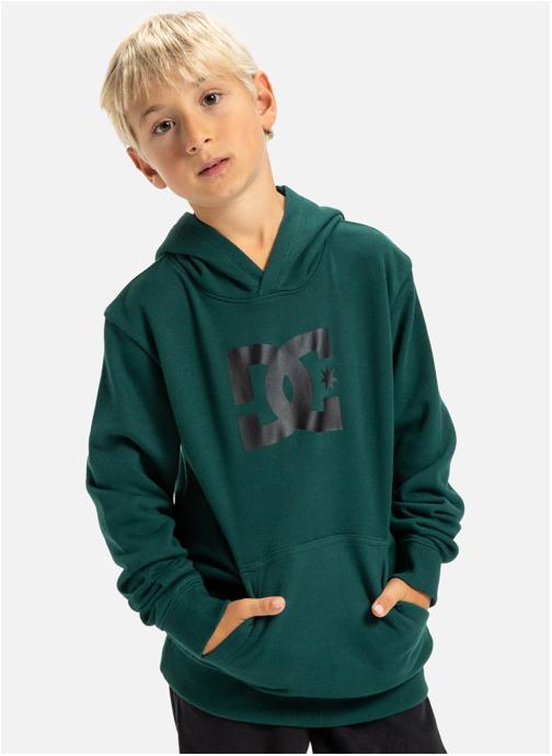 DC Shoes Sweats à capuche DC Star garçon vert