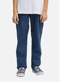 Pantalons Larry Cargo garçon bleu