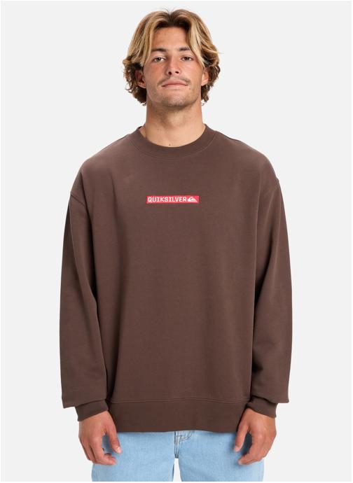 Quiksilver Sweats à capuche Dna homme marron