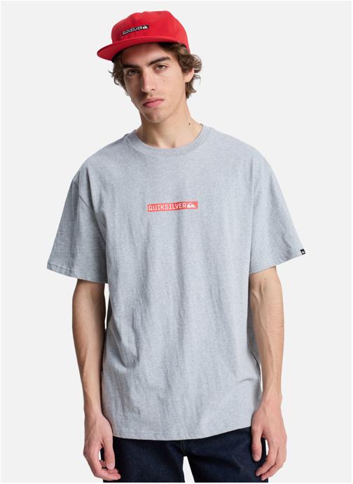 Quiksilver Tee-shirts Dna Clicker homme gris