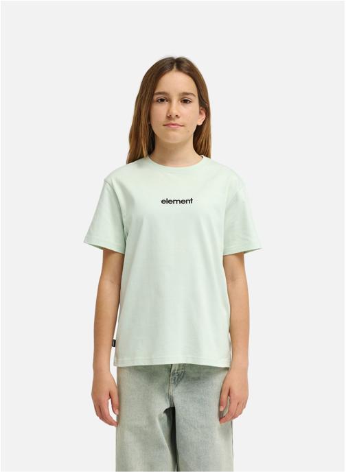 Element Tee-shirts Lowcase Bp Y garçon vert