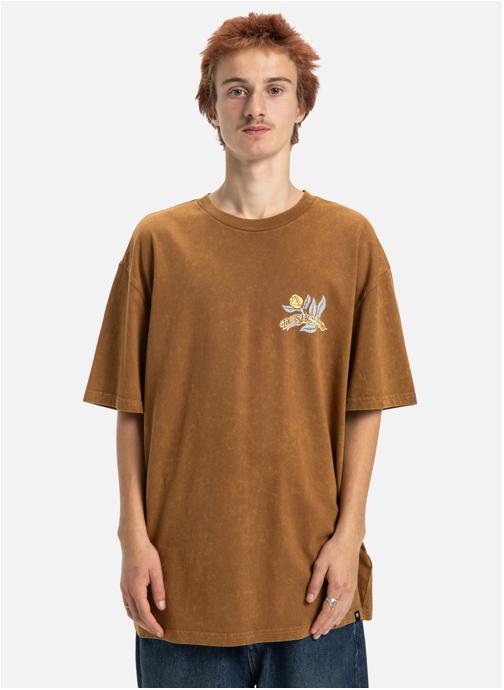 DC Shoes Tee-shirts T-shirt à manches courtes OUTGROW. homme marron