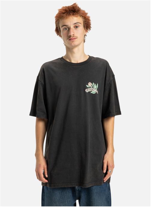 DC Shoes Tee-shirts T-shirt à manches courtes OUTGROW. homme noir