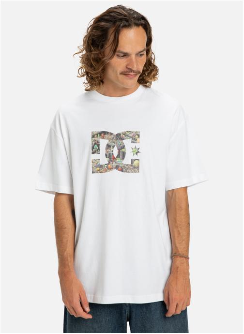 DC Shoes Tee-shirts DC Star Filled homme blanc