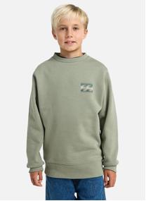 Sweats à capuche Foundation Cr garçon vert Billabong Sweats à capuche Foundation Cr garçon vert Vert