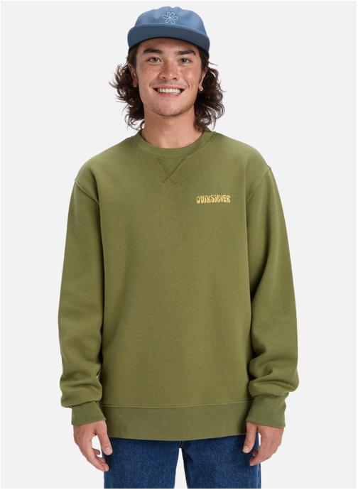 Quiksilver Sweats à capuche Salt Water Graphic homme vert