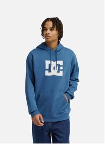 Sweats à capuche DC Star homme bleu DC Shoes Sweats à capuche DC Star homme bleu Bleu