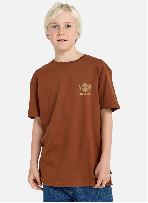 Billabong Tee-shirts Fauna garçon marron