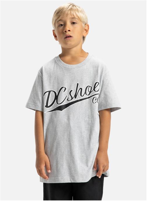 DC Shoes Tee-shirts Substitute garçon gris