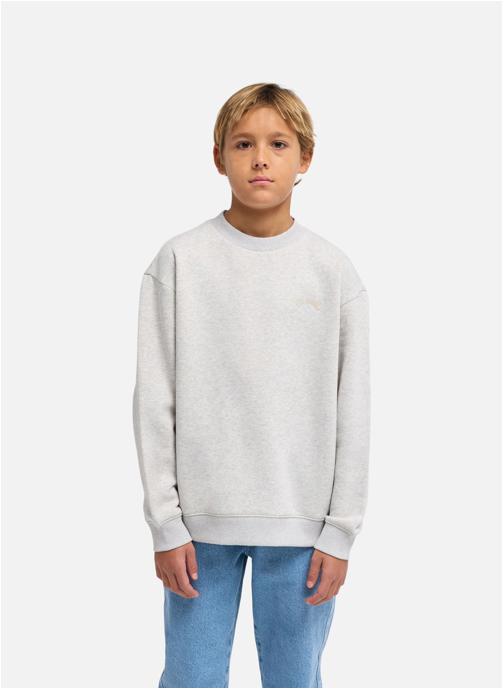 Billabong Sweats à capuche Arch Cr garçon gris