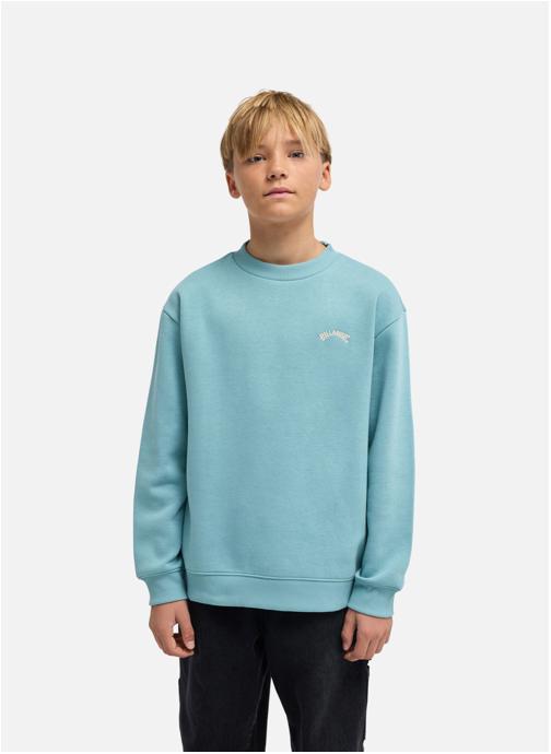 Billabong Sweats à capuche Arch Cr garçon bleu