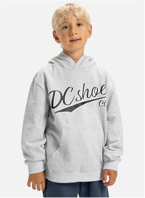 DC Shoes Sweats à capuche Substitute garçon gris