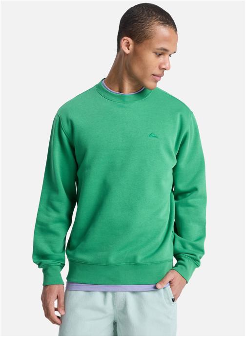 Quiksilver Sweats à capuche Salt Water homme vert