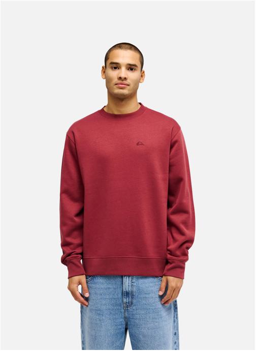 Quiksilver Sweats à capuche Salt Water homme rouge