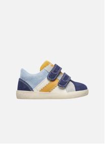 Baskets basses Sneakers KILDE VL. Céleste- garçon bleu Falcotto Baskets basses Sneakers KILDE VL. Céleste- garçon bleu Bleu clair