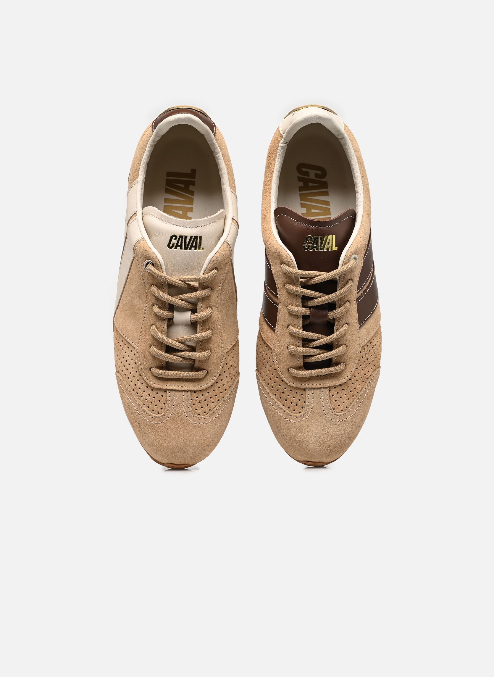 Baskets BALLET femme beige Caval Baskets BALLET femme beige POWER EARTH