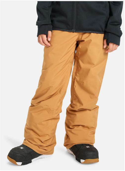 Quiksilver Pantalons Pantalon de snow technique ESTATE garçon beige