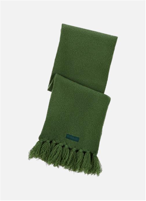 Serge Blanco Echarpes Echarpe homme vert
