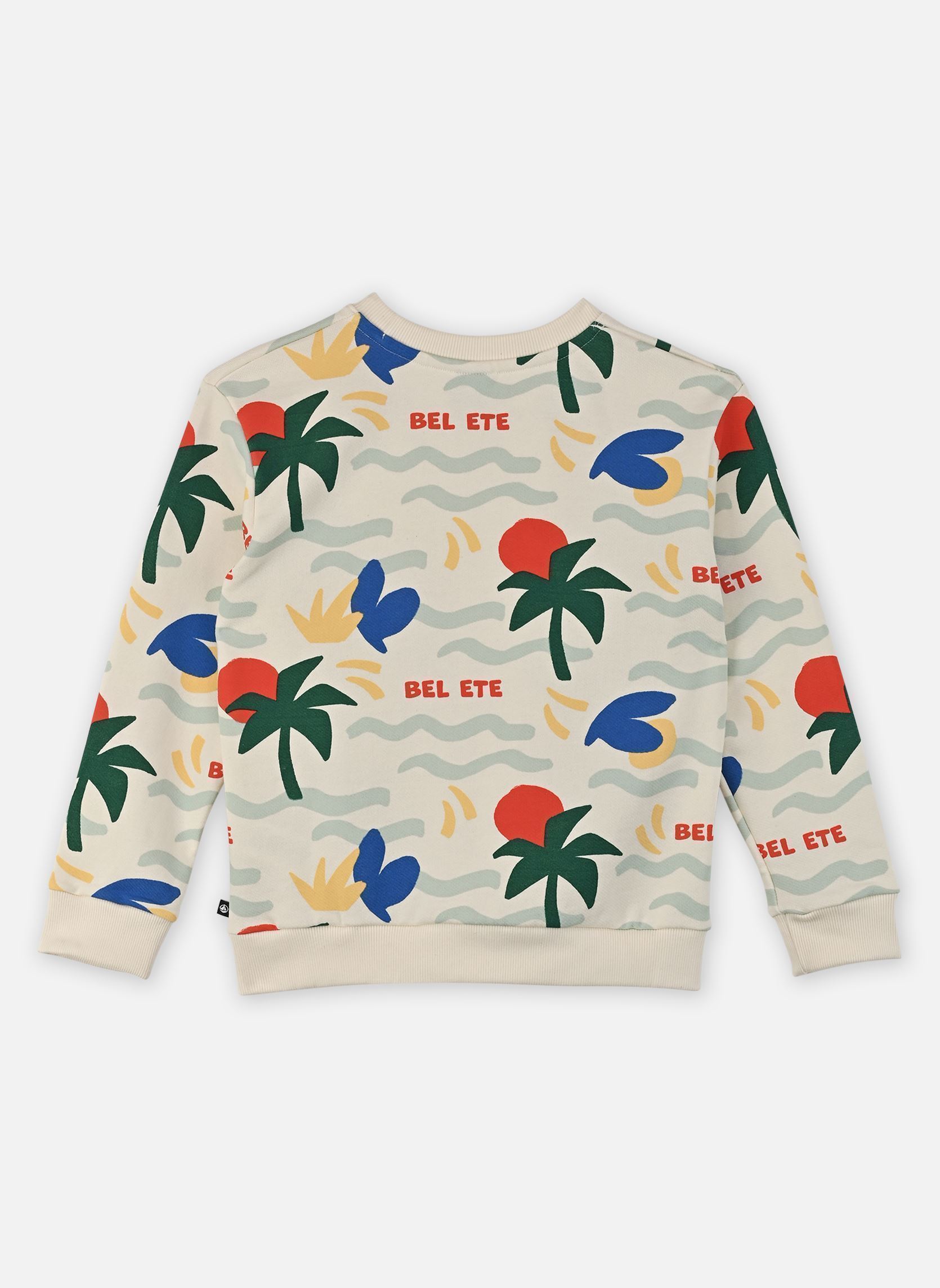 Sweats Sweatshirt Fluffy garçon multicolore Petit Bateau Sweats Sweatshirt Fluffy garçon multicolore Milk/Multico
