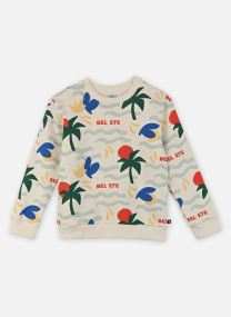 Sweats Sweatshirt Fluffy garçon multicolore Petit Bateau Sweats Sweatshirt Fluffy garçon multicolore Milk/Multico