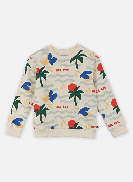Petit Bateau Sweatshirts Sweatshirt Fluffy jungen mehrfarbig