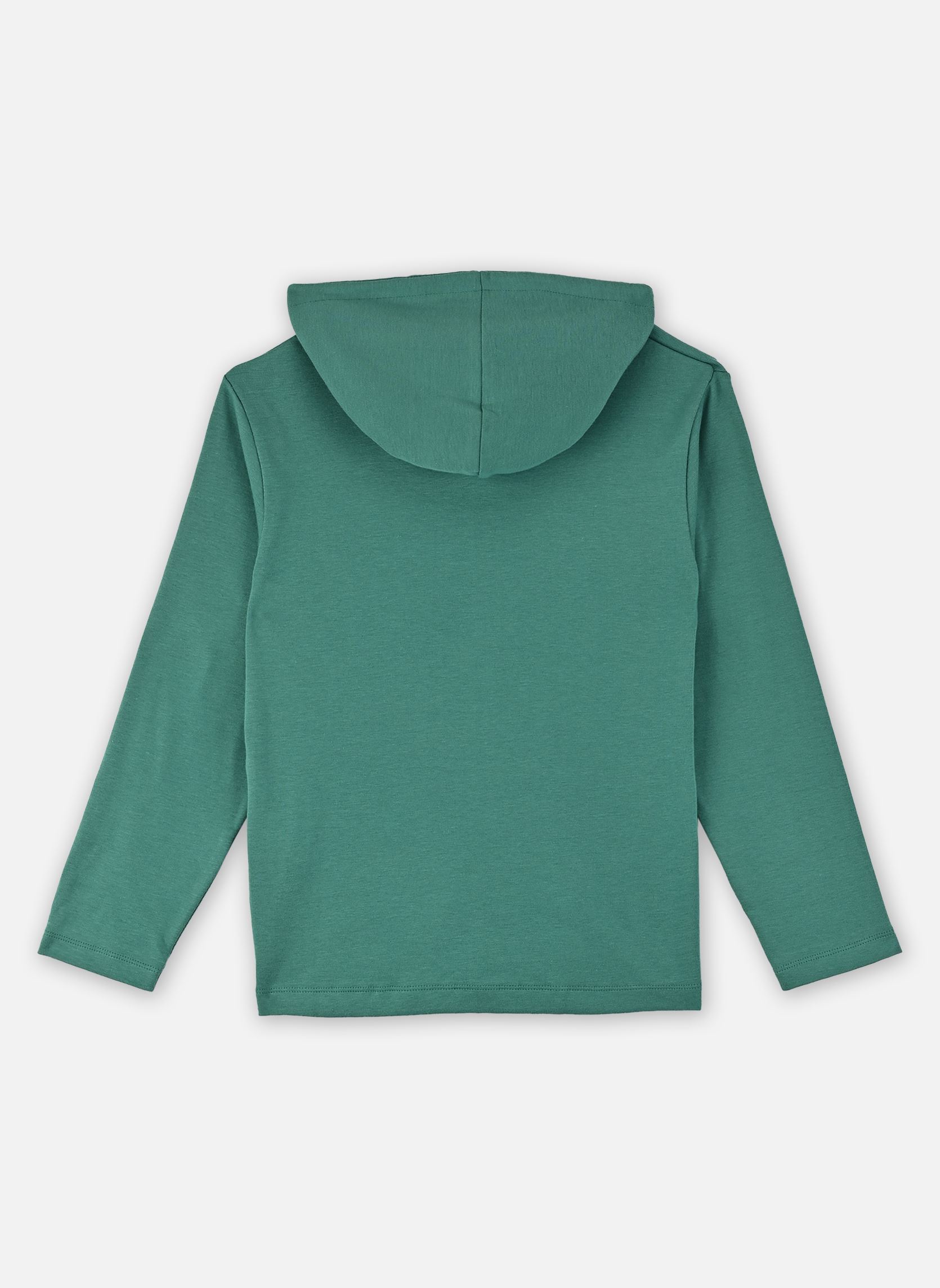 Sweats zippés Sweatshirt à Capuche Furito garçon vert Petit Bateau Sweats zippés Sweatshirt à Capuche Furito garçon vert GREENY