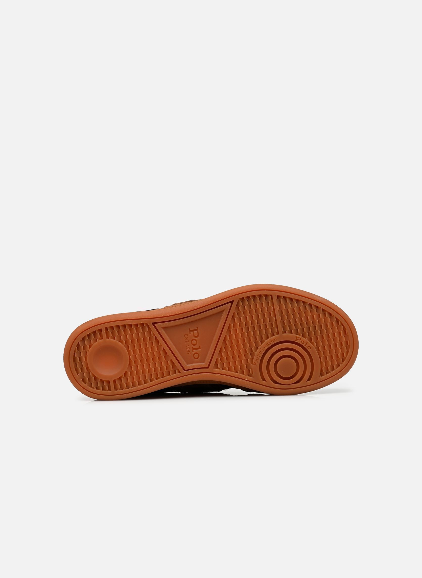 Baskets basses HTR AERA-SNEAKERS-LOW TOP LACE femme marron Polo Ralph Lauren Baskets basses HTR AERA-SNEAKERS-LOW TOP LACE femme marron Dark Brown