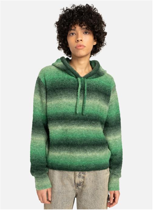 Element Sweats à capuche Shoreton Po W femme vert