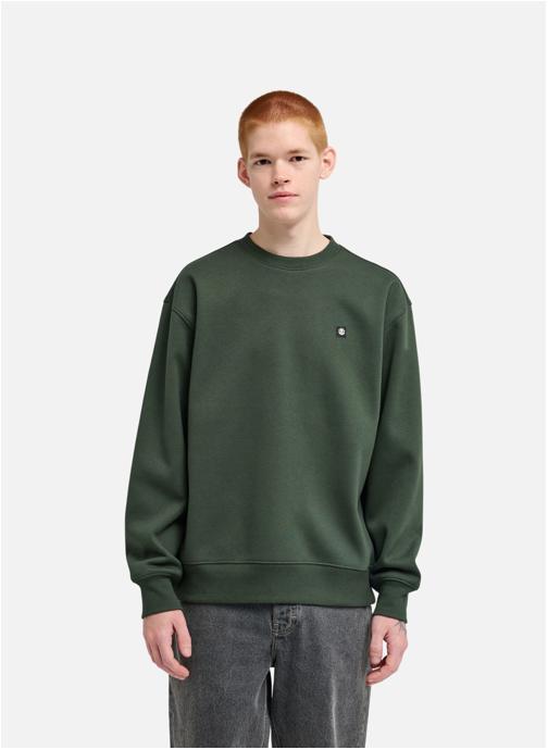 Element Vestes polaires Icon Rain Cr homme vert