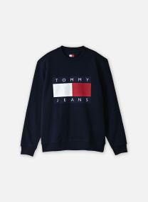 Sweats Tjm Reg Big Flag Cne homme marine Tommy Jeans Sweats Tjm Reg Big Flag Cne homme marine DARK BLUE