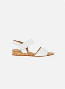 Sandales 62.750 femme blanc Gabor Sandales 62.750 femme blanc Blanc