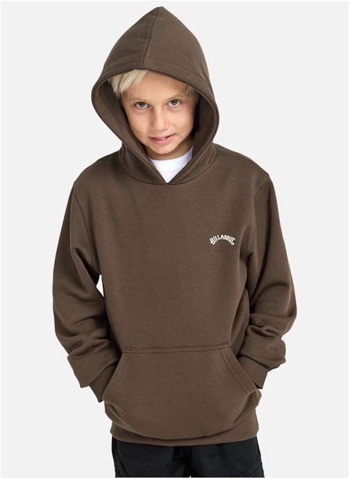 Billabong Sweats à capuche Arch Po garçon marron