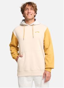 Sweats à capuche Arch Block Po homme beige Billabong Sweats à capuche Arch Block Po homme beige Beige