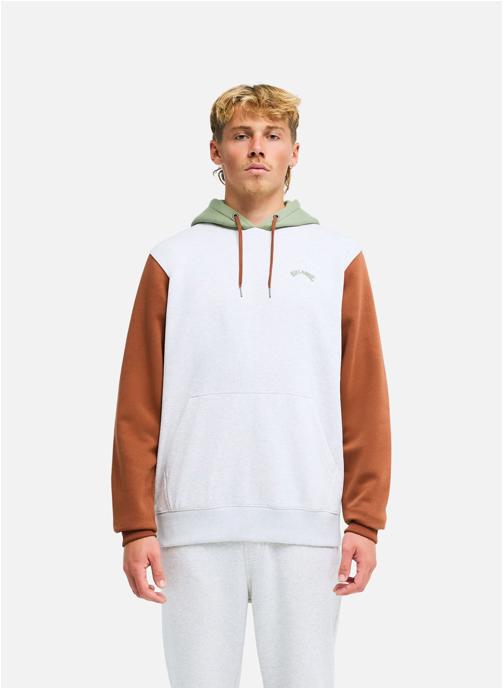 Billabong Sweats à capuche Arch Block Po homme gris