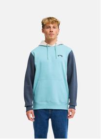 Sweats à capuche Arch Block Po homme beige