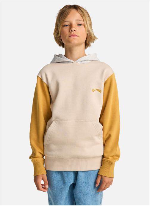 Billabong Sweats à capuche Arch Block Po garçon beige