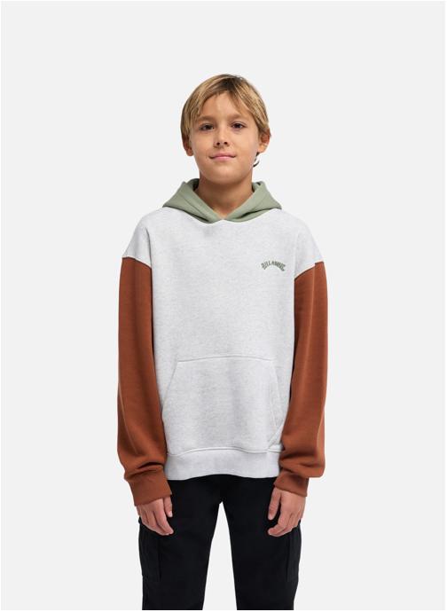 Billabong Sweats à capuche Arch Block Po garçon gris