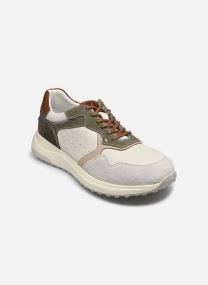 Baskets basses 13623-46 homme vert