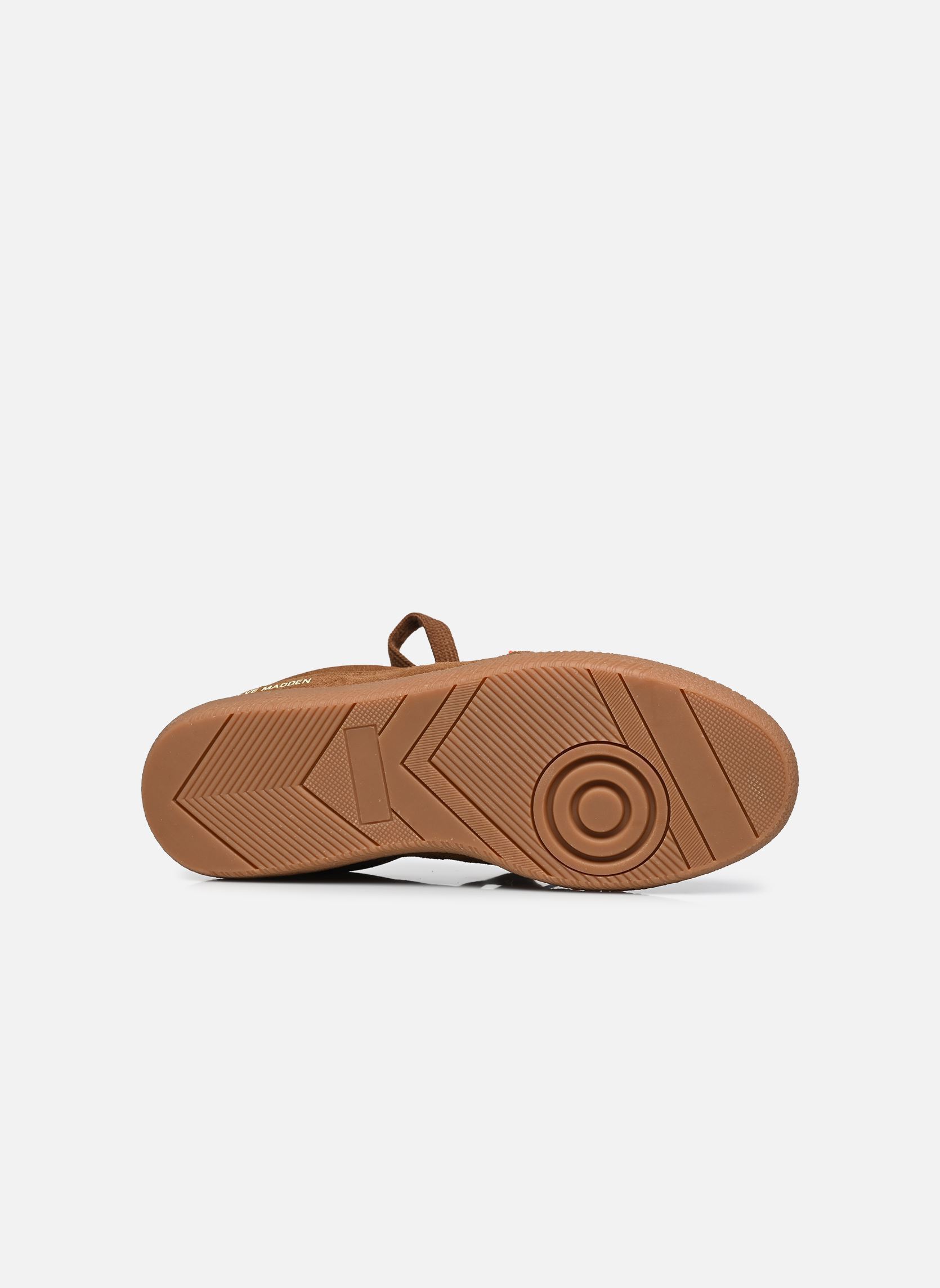 Sneakers Augustine dames bruin Steve Madden Sneakers Augustine dames bruin CHESTNUT
