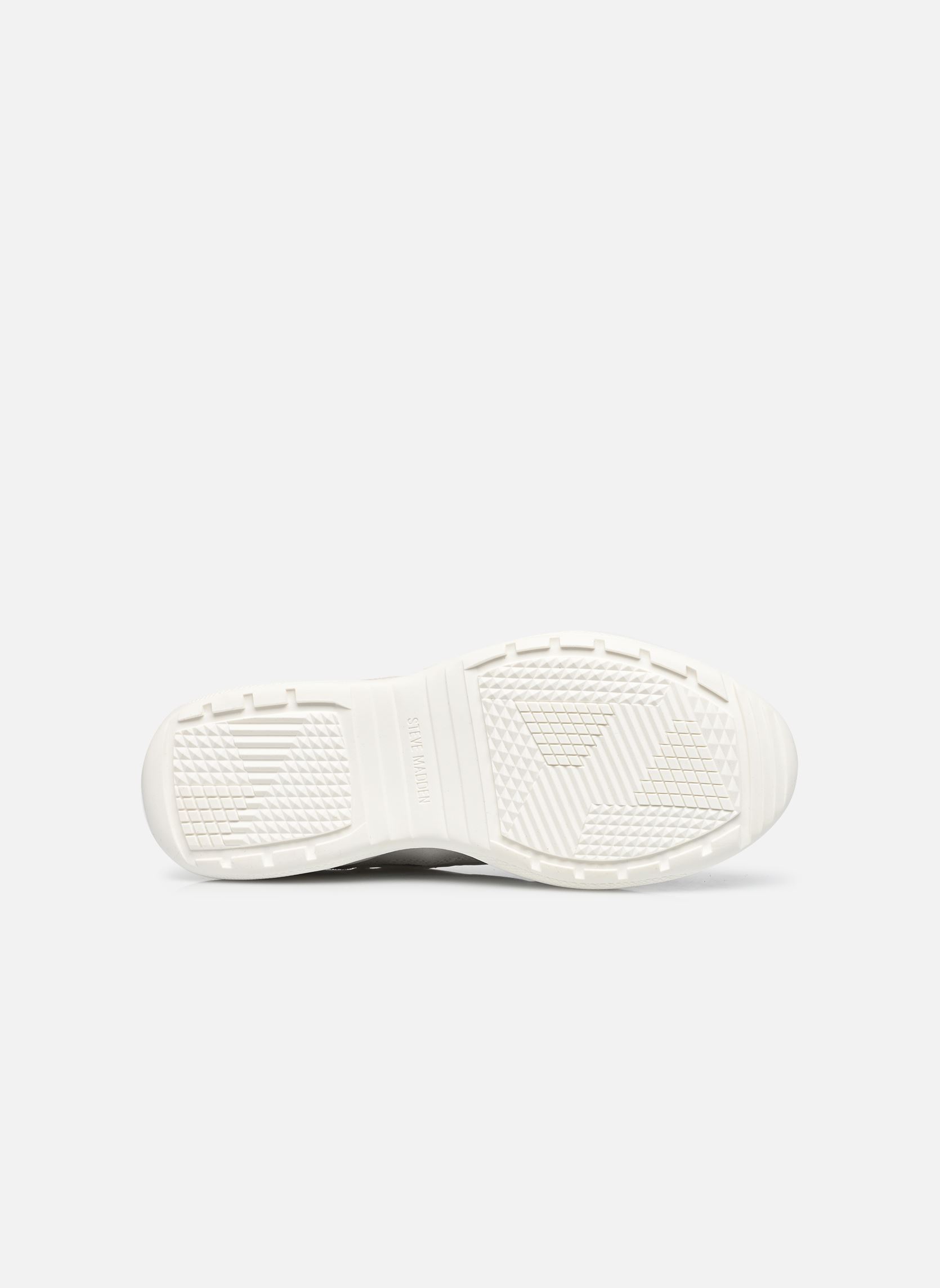 Baskets Premio femme blanc Steve Madden Baskets Premio femme blanc White