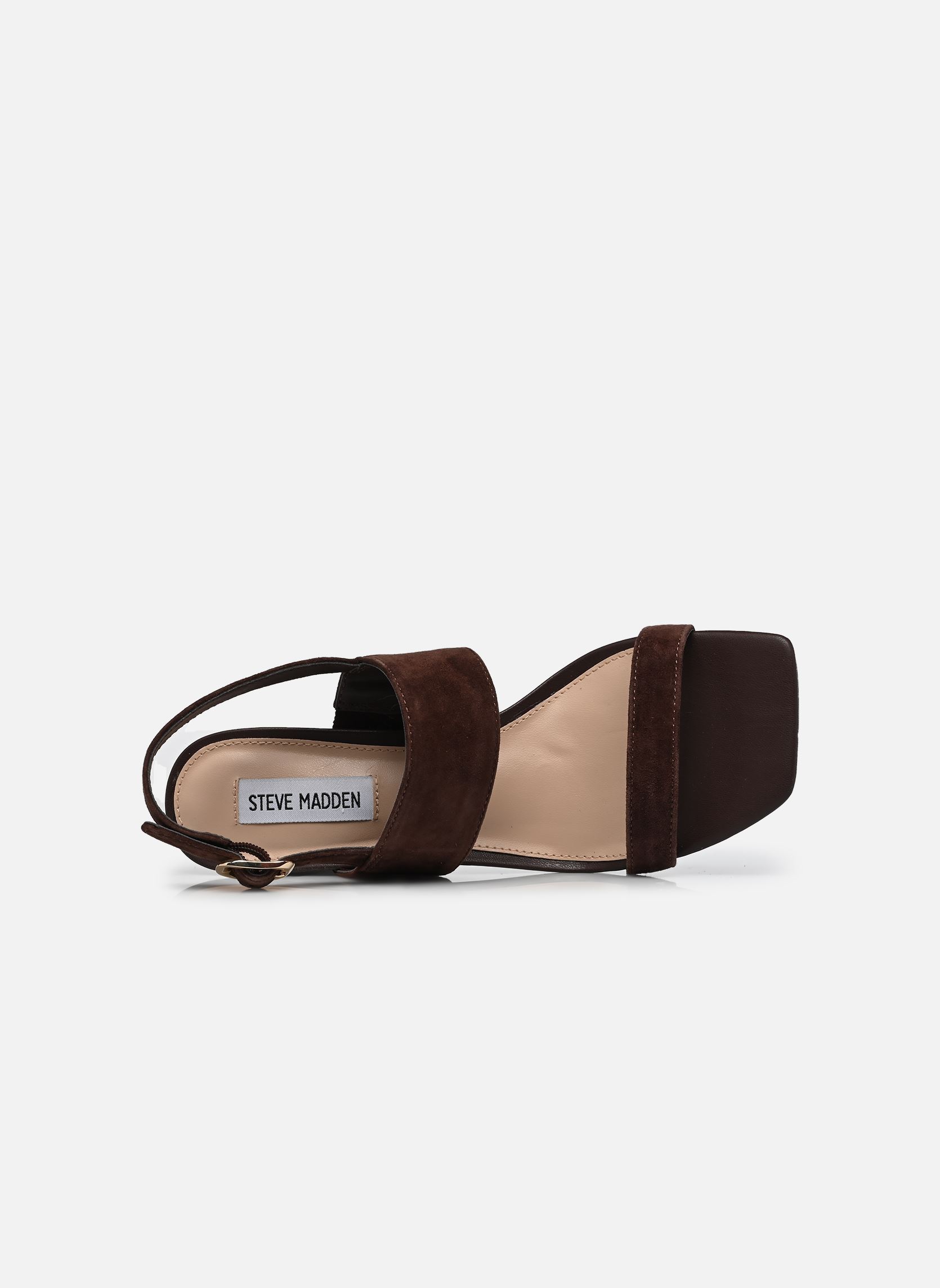Sandales Wendie femme marron Steve Madden Sandales Wendie femme marron CHO BRN SD