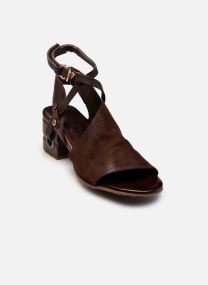 Sandalen C34003 dames bruin AS98 Sandalen C34003 dames bruin EBANO+EBANO+TDM