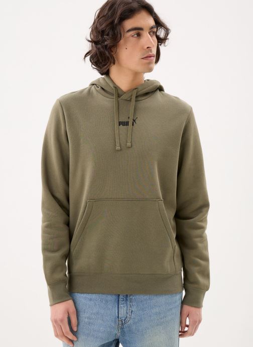 Puma Sweats à capuche ESS Small No.1 Logo centered Hoodie FL homme vert