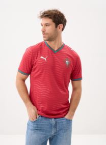 Polos manches courtes FPF Home Jersey Replica PE26 homme rouge Puma Polos manches courtes FPF Home Jersey Replica PE26 homme rouge CLUB RED-GREEN LAGOON