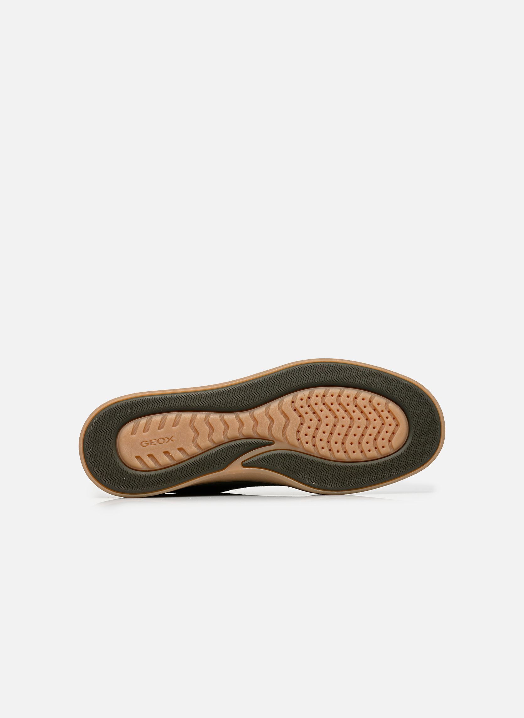 Sneaker U BALTMOORE C herren grün Geox Sneaker U BALTMOORE C herren grün Musk