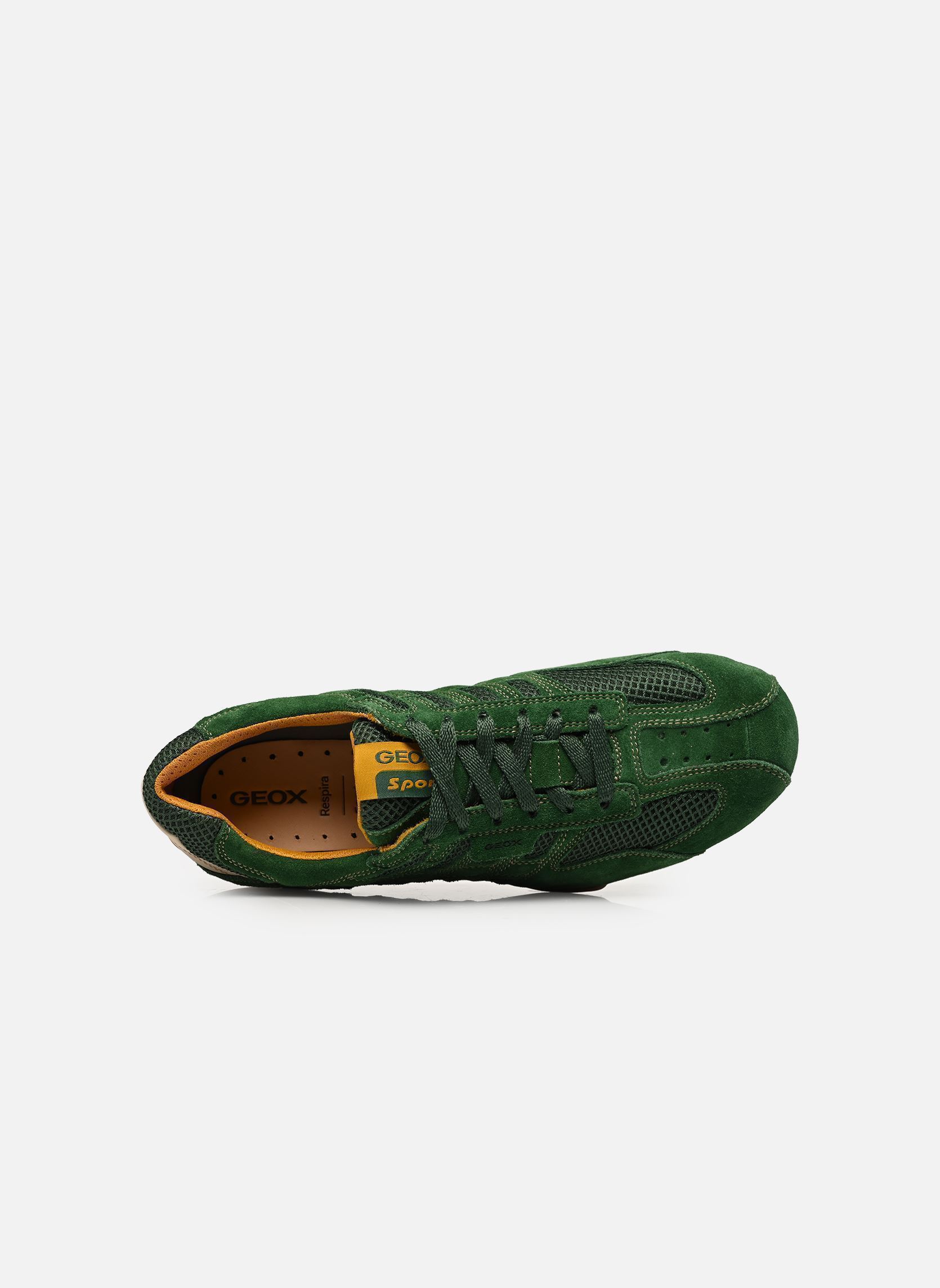 Baskets U SNAKE ORIGINAL A homme vert Geox Baskets U SNAKE ORIGINAL A homme vert Green